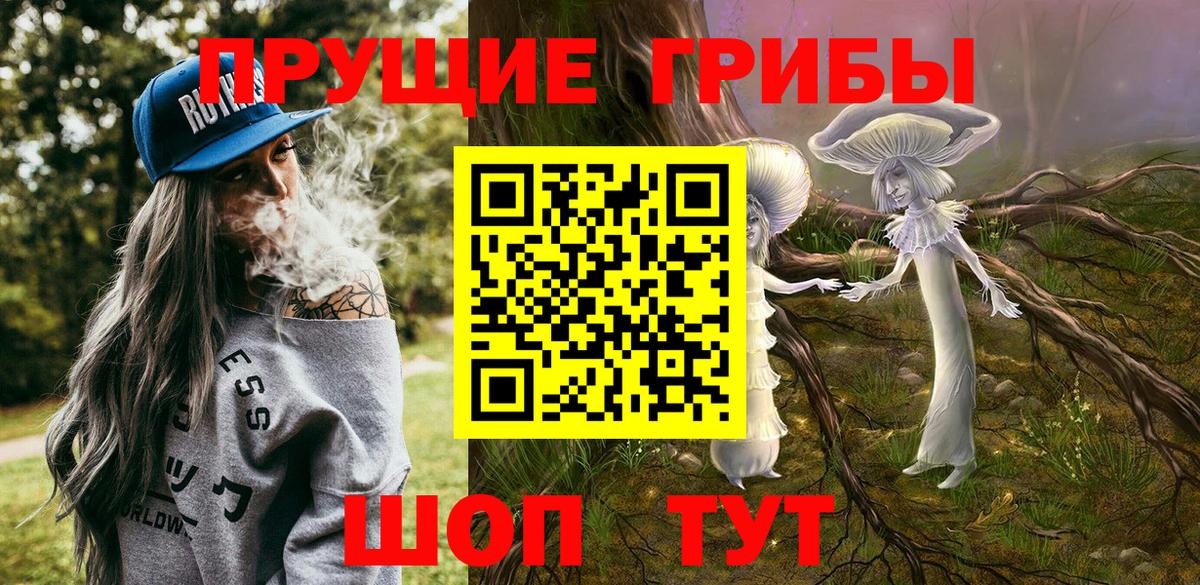Старая Купавна  Галлюциногенные грибы Psilocybe  Псилоцибиновые грибы ЛСД  Вход с VPN 